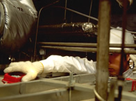 ネズミの毒餌配置