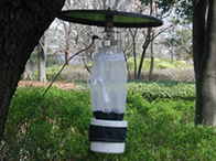 カの調査用捕獲用具