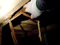 床下に潜む危険