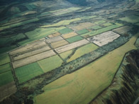 4月～6月が繁殖期